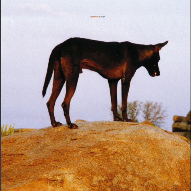 Grounded cover art