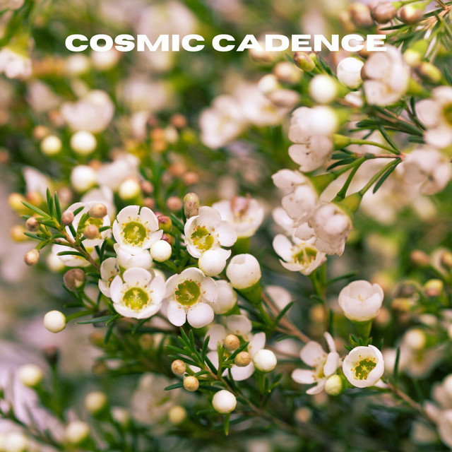 Cosmic Cadence