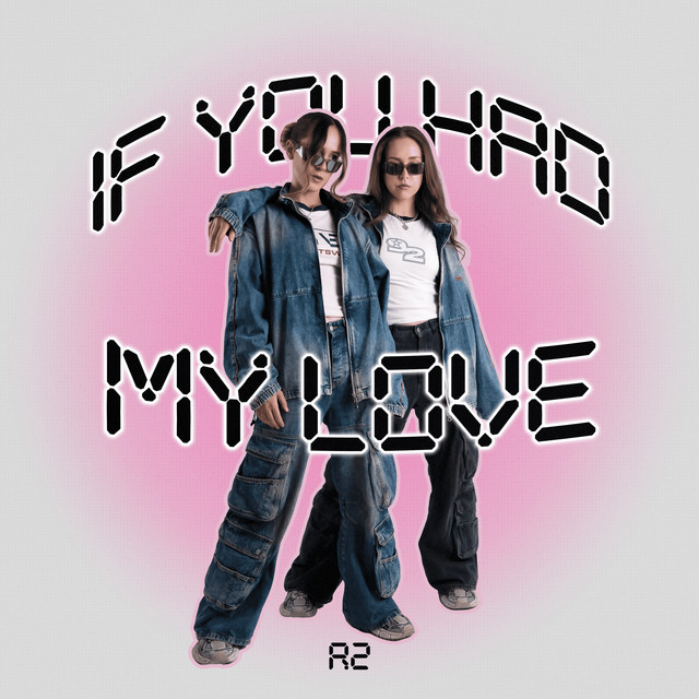 If You Had My Love