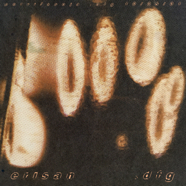 .DFG cover art