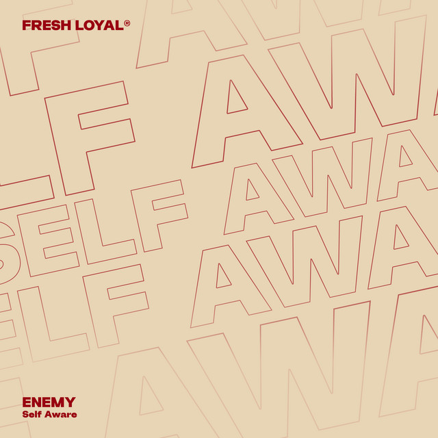 Self Aware cover art