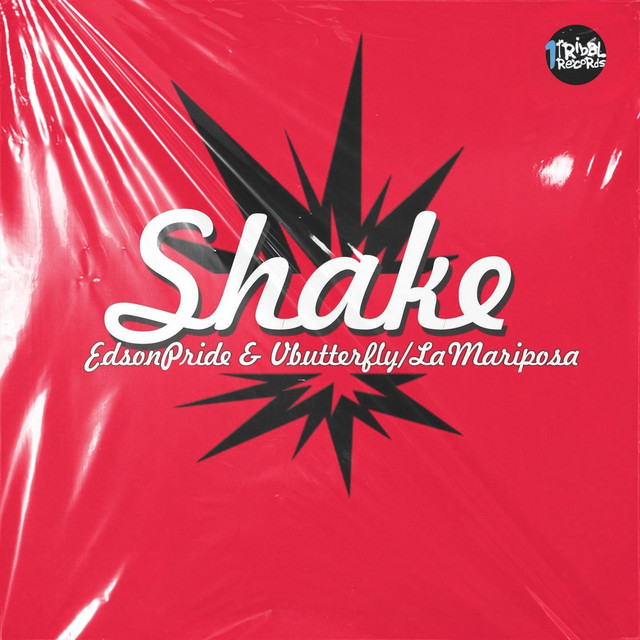 Shake (You Are the One) cover art