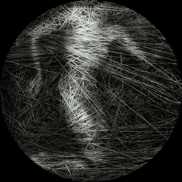 Substances & Perceptions (Remixes) cover art