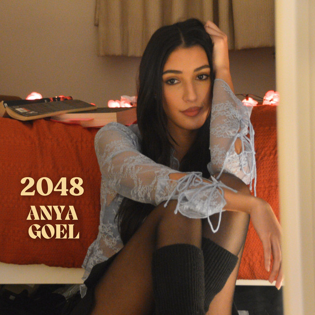 2048 cover art