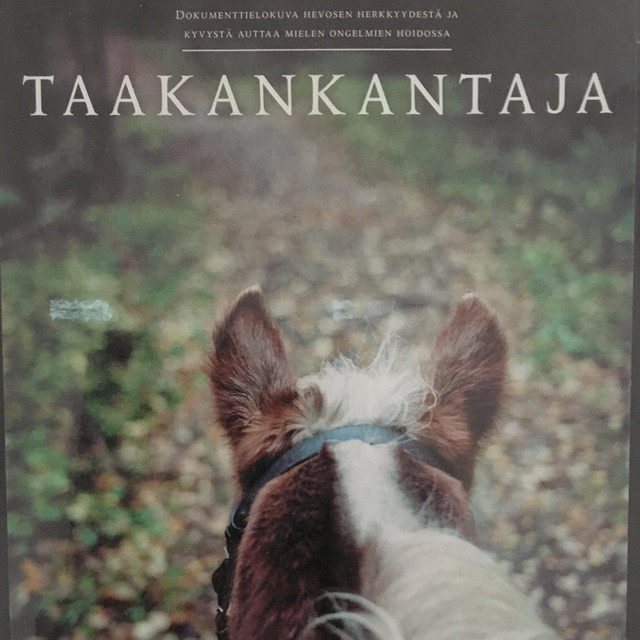Pahe Ja Poika cover art