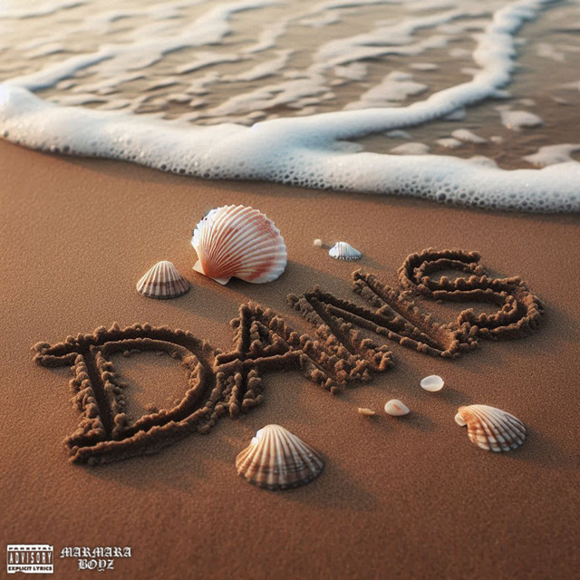 DANS cover art