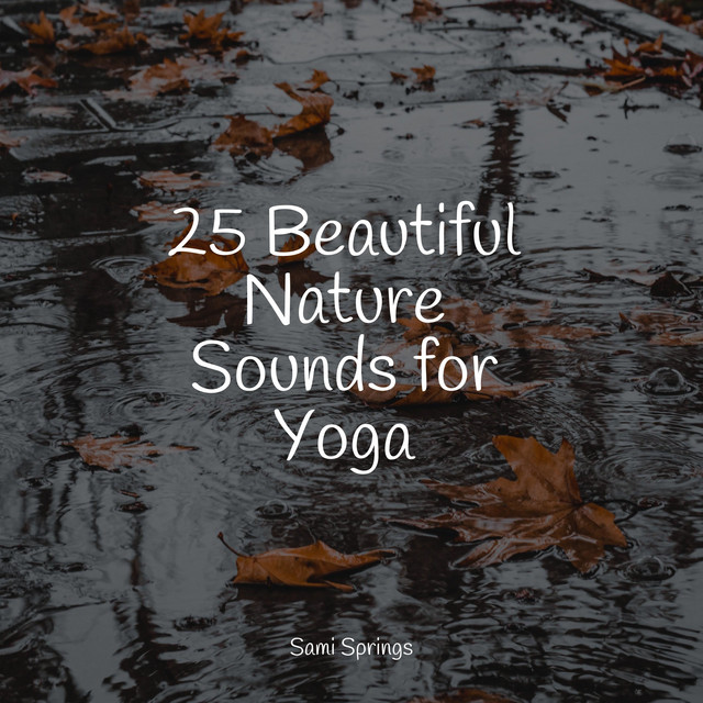 25 Beautiful Nature Sounds for Yoga - Album by Música Zen Relaxante ...