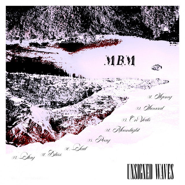 Unsigned Waves cover art