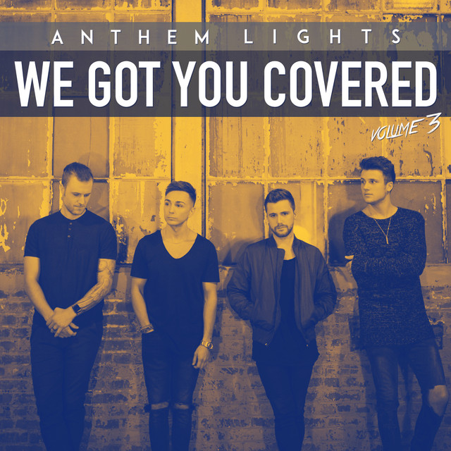We Got You Covered, Vol. 3 cover art