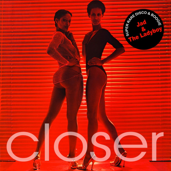Closer cover