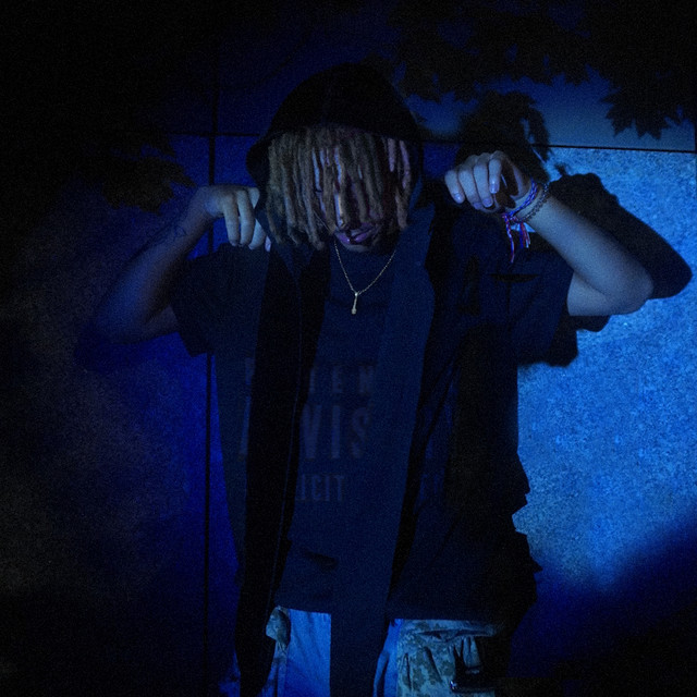 L S L cover art