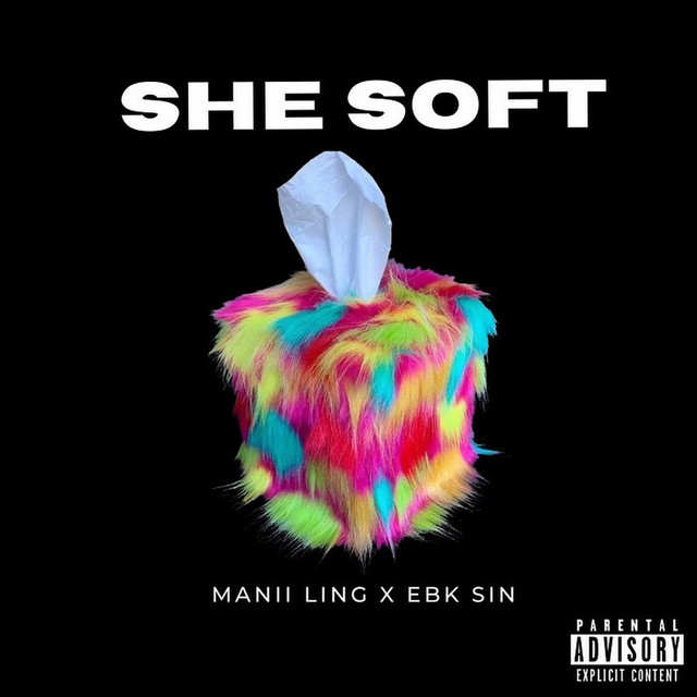 She Soft cover art