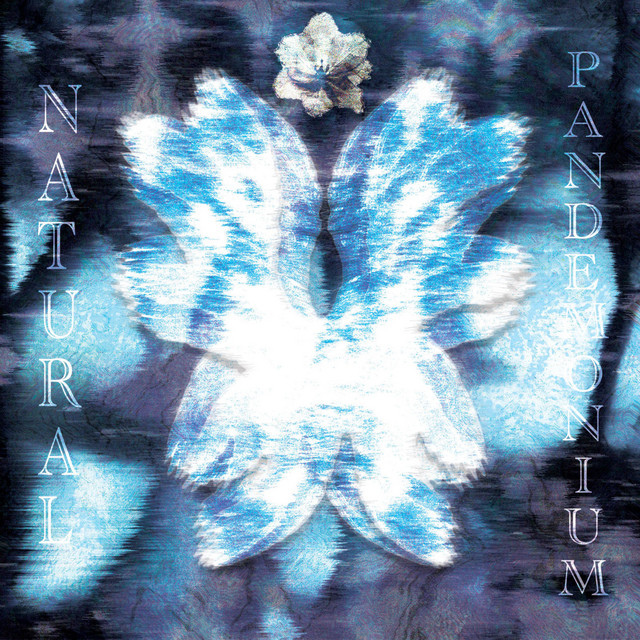 Natural Pandemonium cover art
