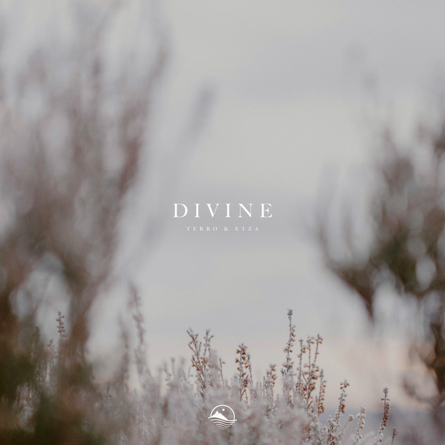 Divine cover art
