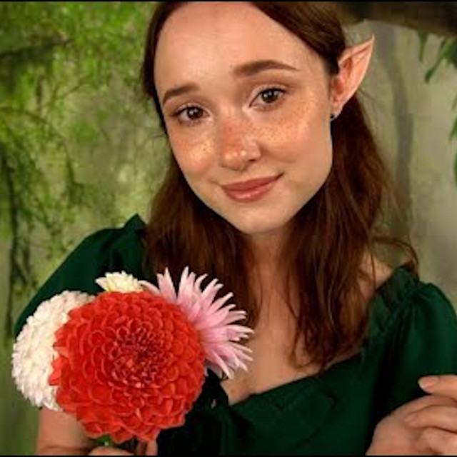 Elven Druid Magically Takes Care of You cover art