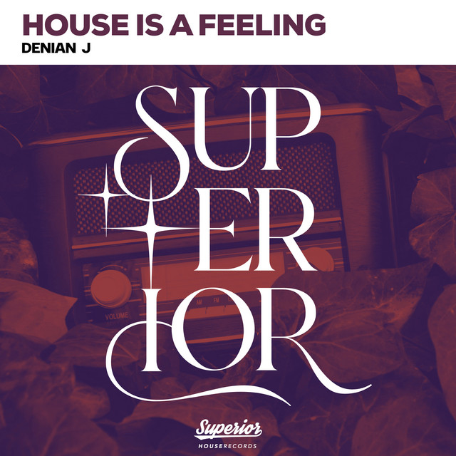 House is a Feeling - Extended Mix