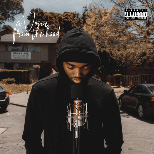 A Voice from the Hood cover art