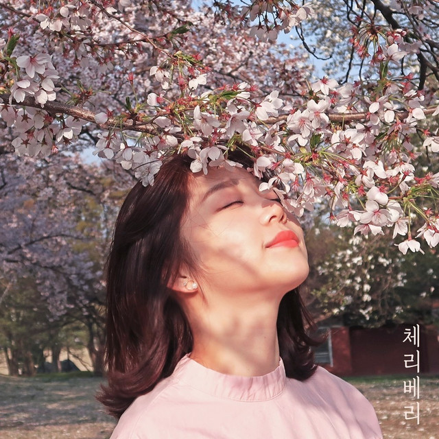 나의 이상형 cover art