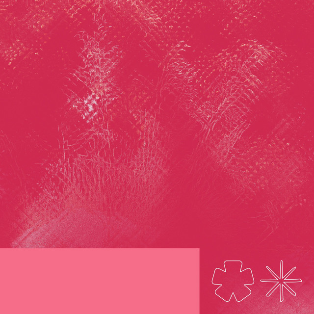Bluebell / Serif Soaked cover art