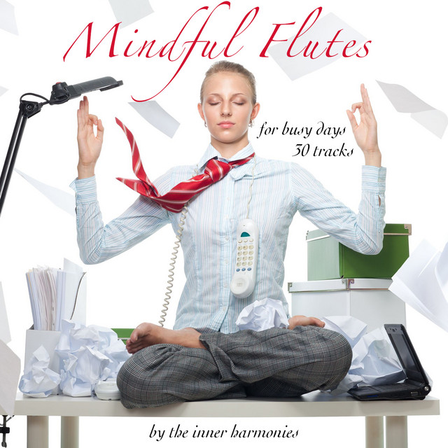 Mindful Flutes (For Busy Days - 30 Cuts) cover art