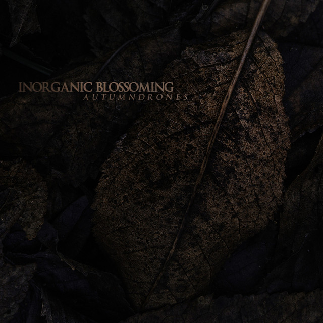 Inorganic Blossoming Photo