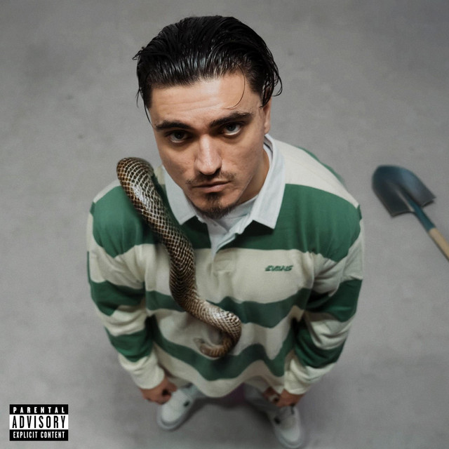 BORN AGAIN cover art