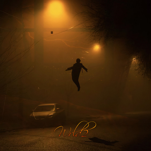 Dingle Down cover art