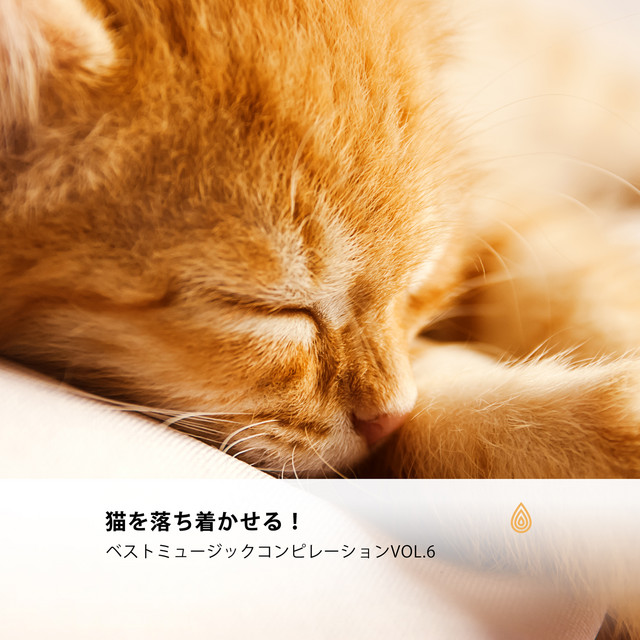 Listen to 猫を落ち着かせる！ベストミュージックコンピレーションVol