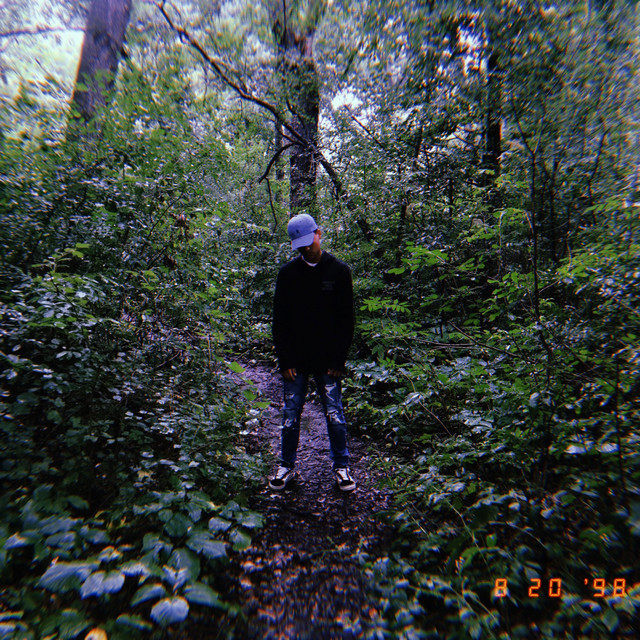 Swerv. cover art