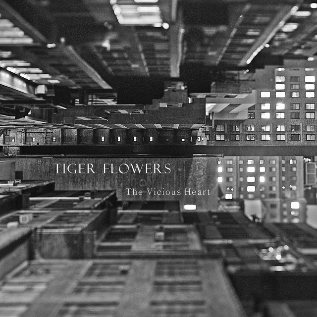 Tiger Flowers