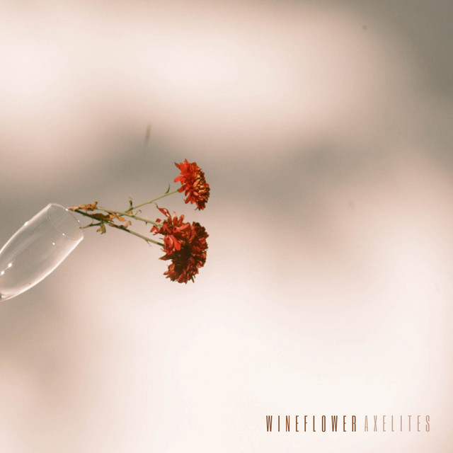 Wineflower cover art