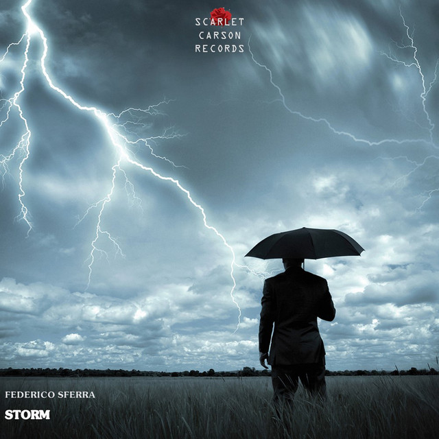 Storm cover art