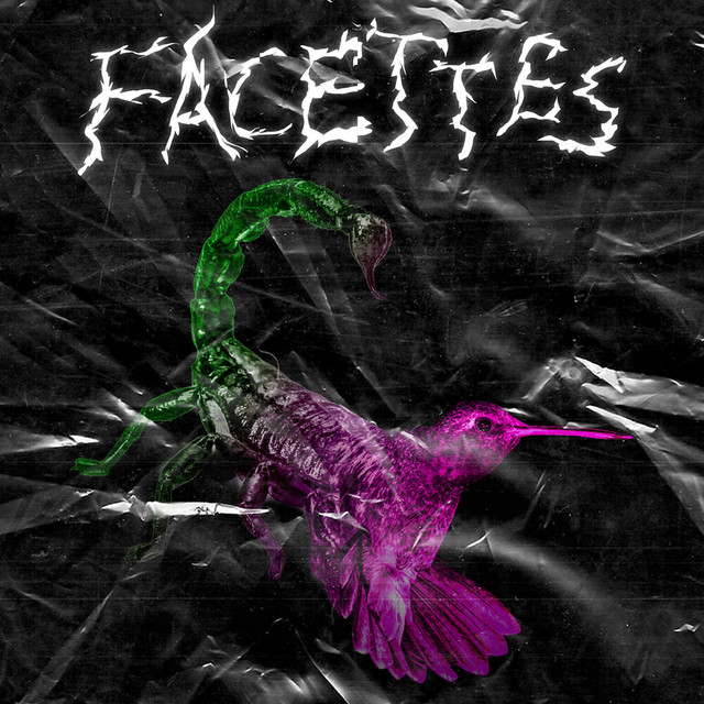 Facettes cover