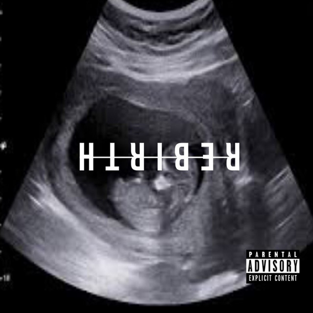 Rebirth cover art