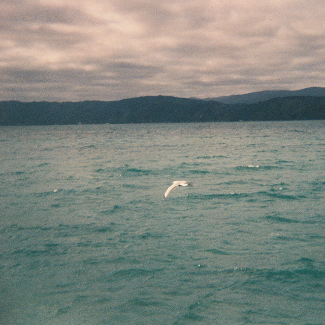 Salt Air album image