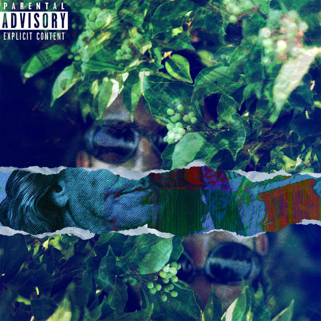 Bluefaces cover