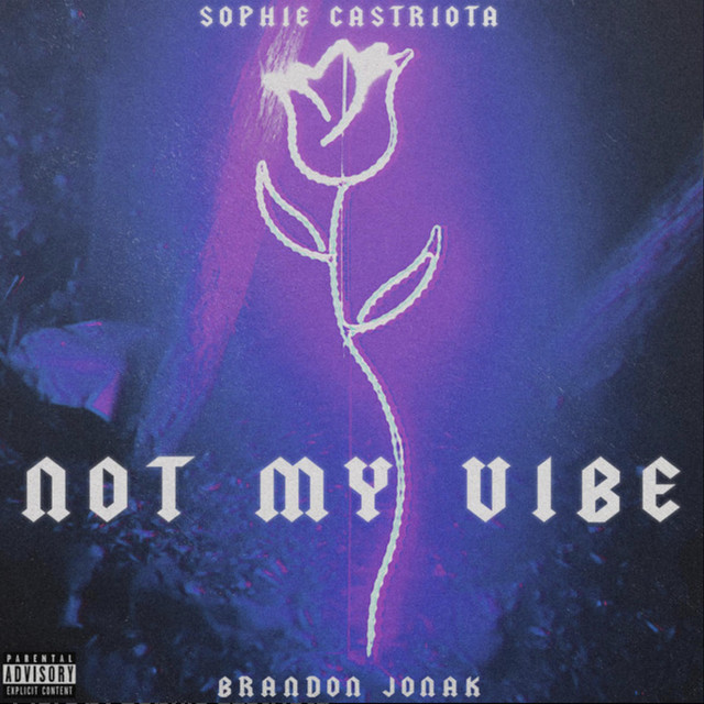 Not My Vibe