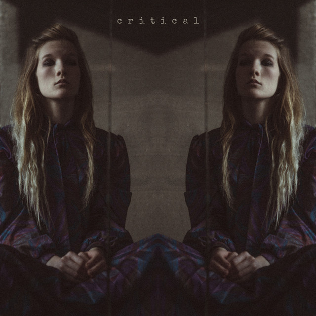 Обкладинка: Critical — Vinok