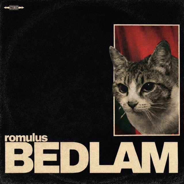 Bedlam cover art