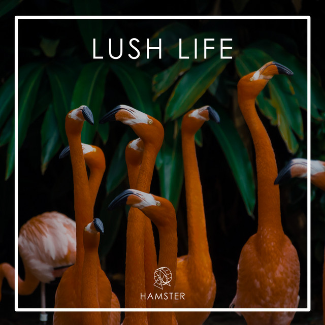 Lush Life cover art