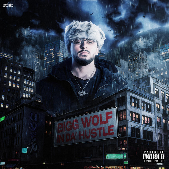 BIGG WOLF IN DA' HUSTLE cover art