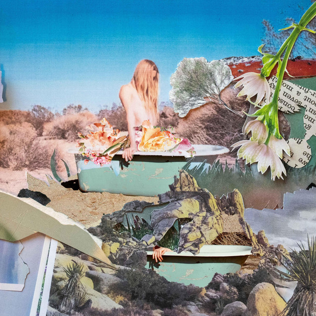 Desert Willow cover art