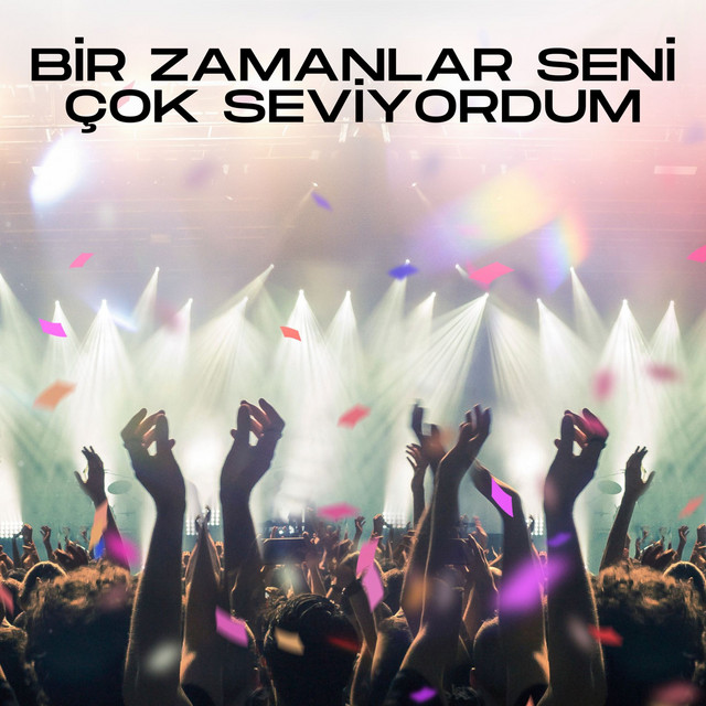 Bir Zamanlar Seni Çok Seviyordum cover