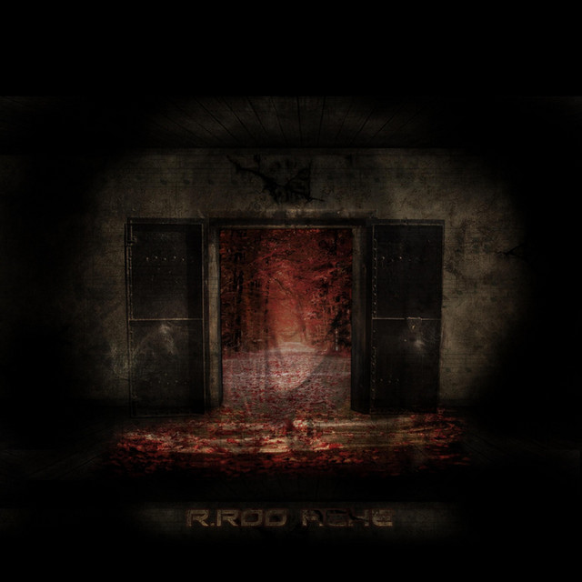 Cover art for r.roo — Ache