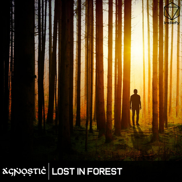 Lost In Forest