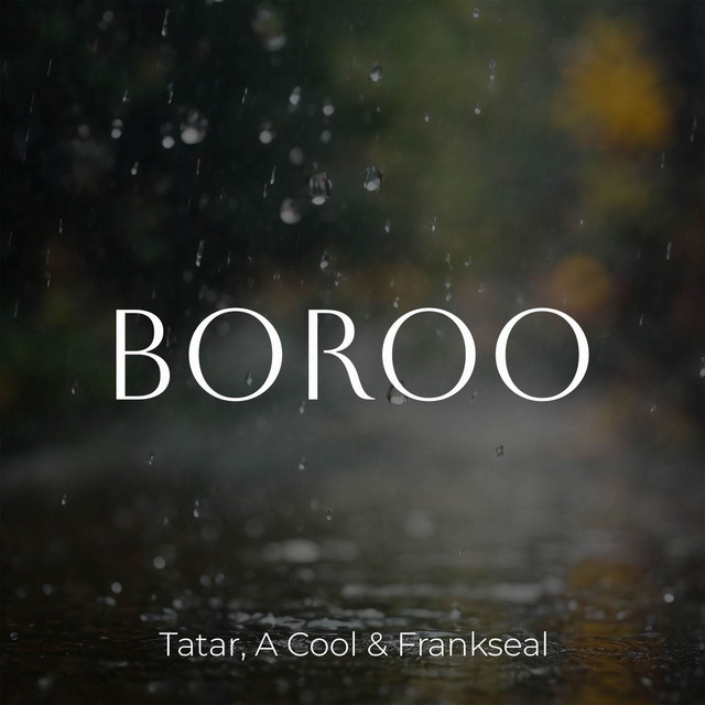 Boroo cover art