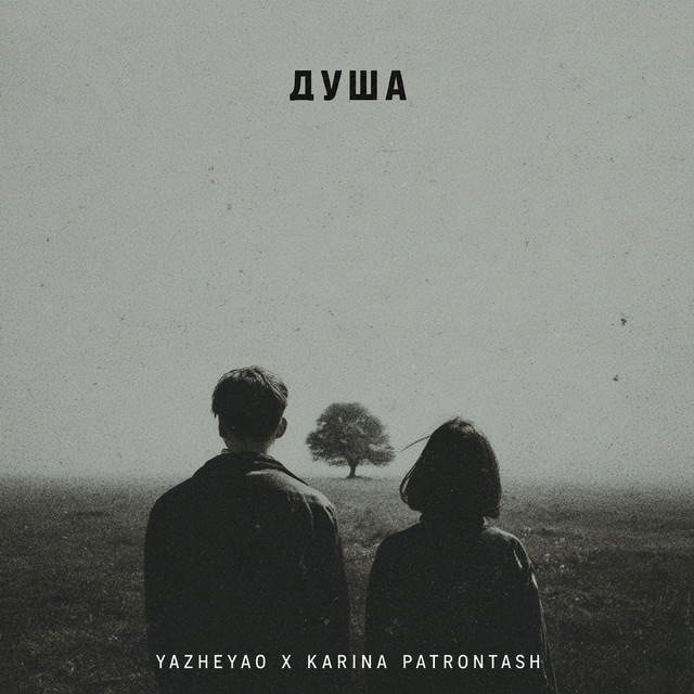 Cover art: Душа — YaZheYao