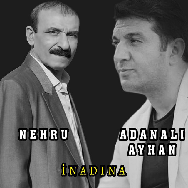 İnadına cover