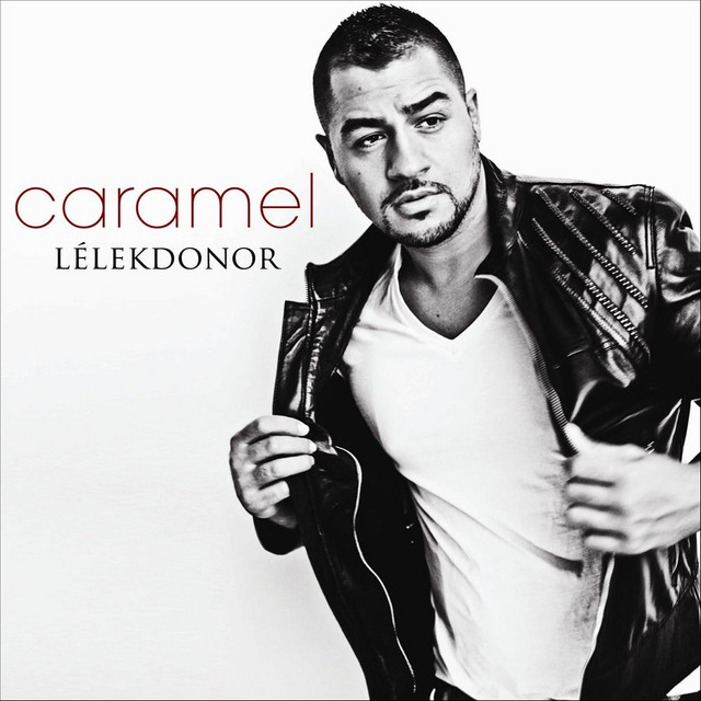 Lélekdonor cover art