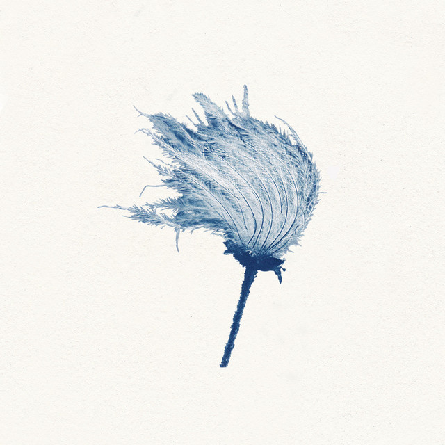 Control cover art